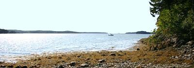 Image of Property Number 1004