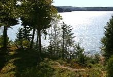 Image of Property Number 1004