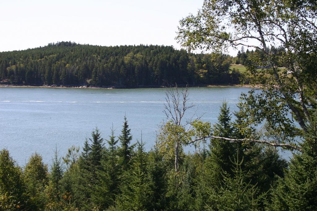 Image of Property Number 1045