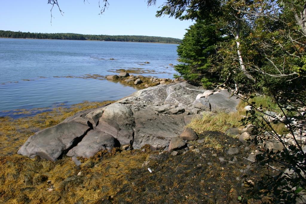 Image of Property Number 1045