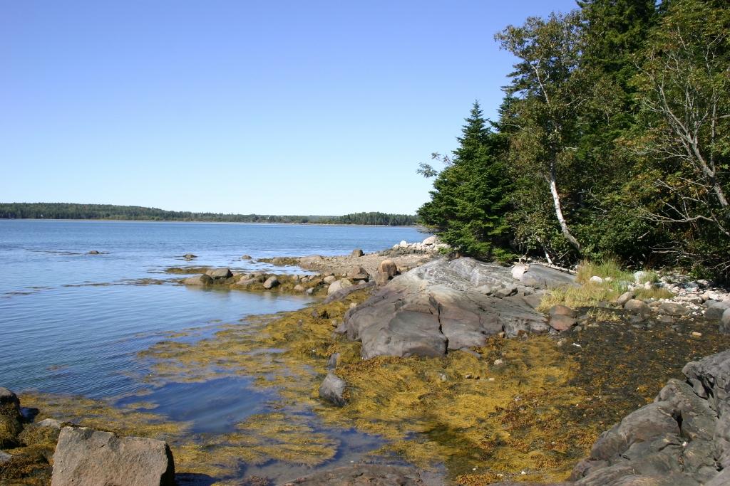 Image of Property Number 1045