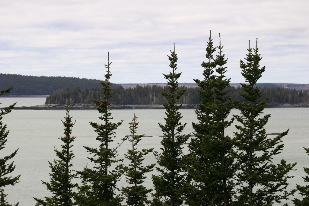 Image of Property Number 1013