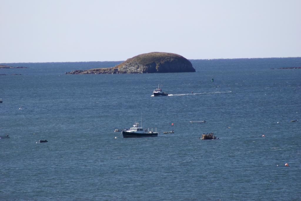 Image of Property Number 1038