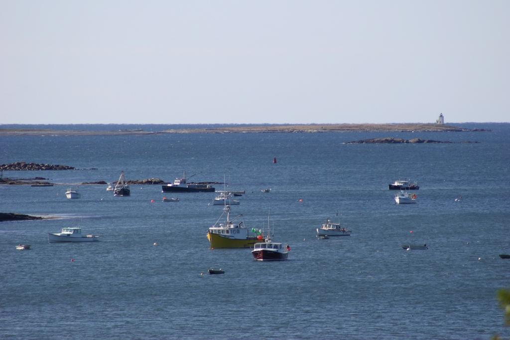 Image of Property Number 1038