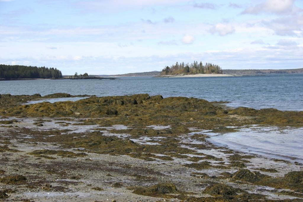 Image of Property Number 1039