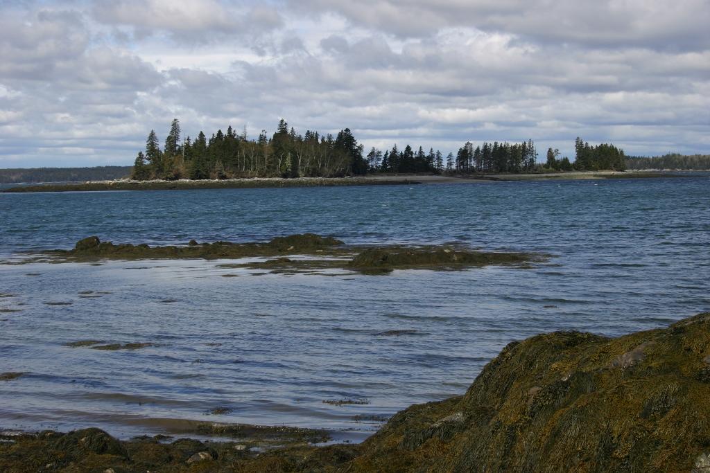 Image of Property Number 1039