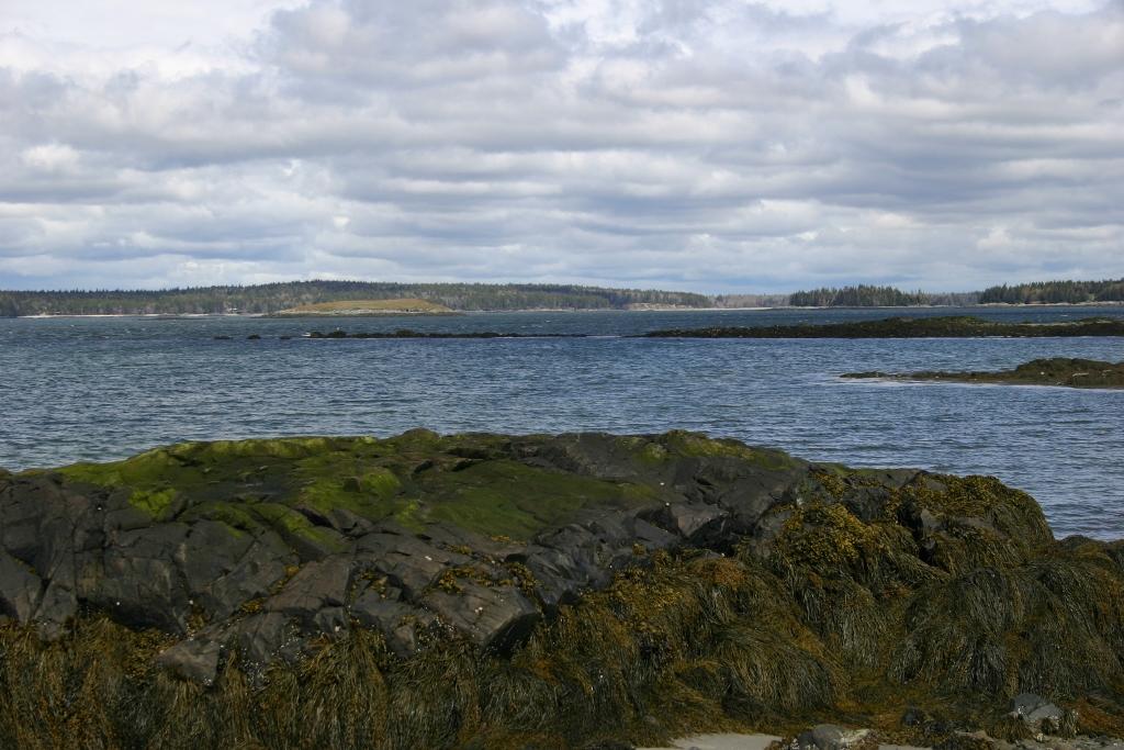 Image of Property Number 1039