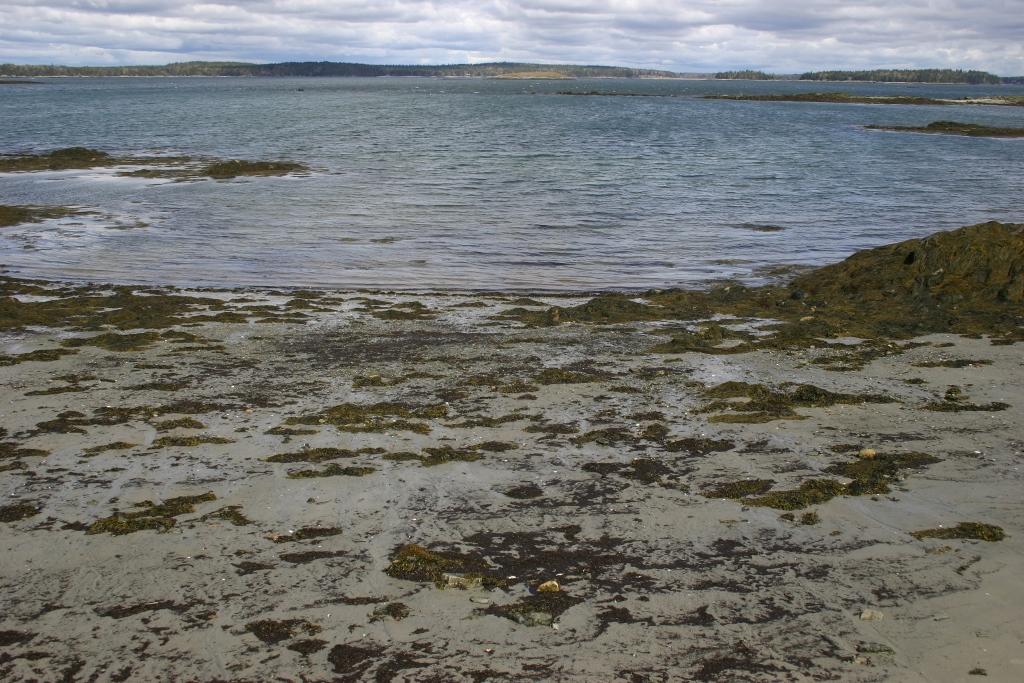 Image of Property Number 1039