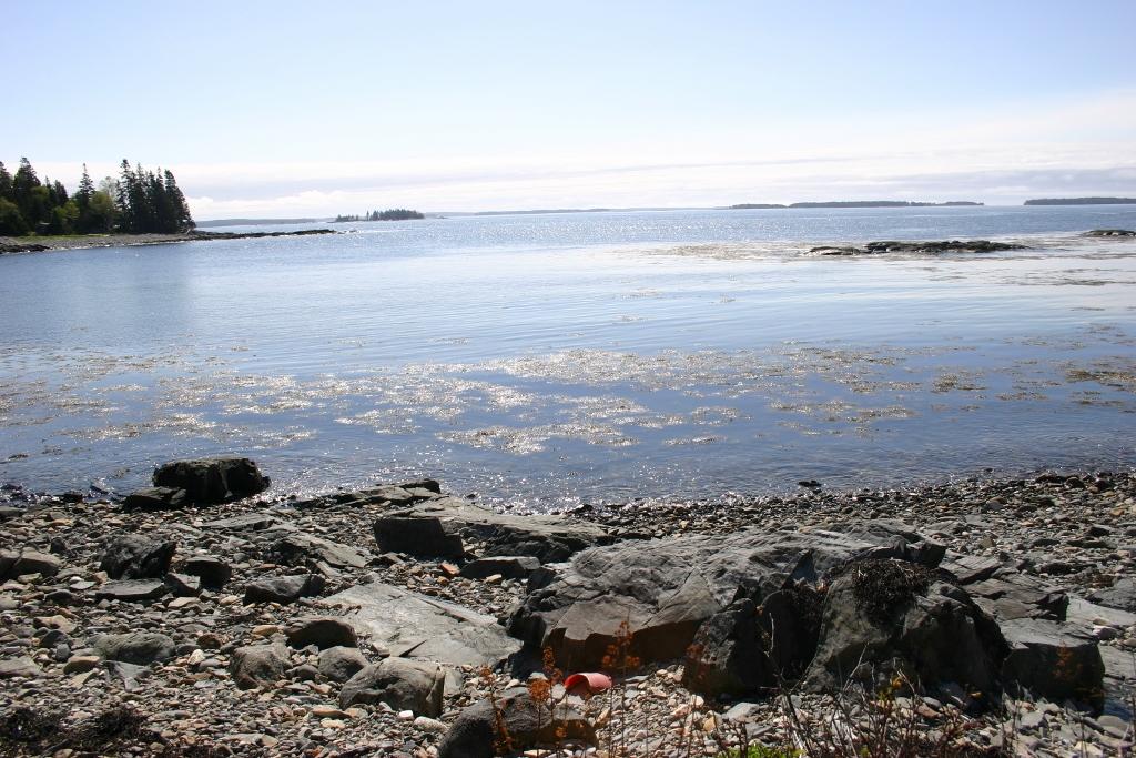 Image of Property Number 1010