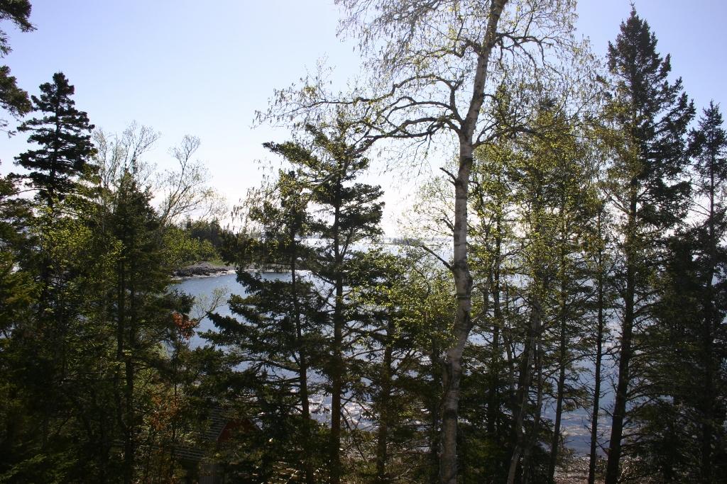 Image of Property Number 1010