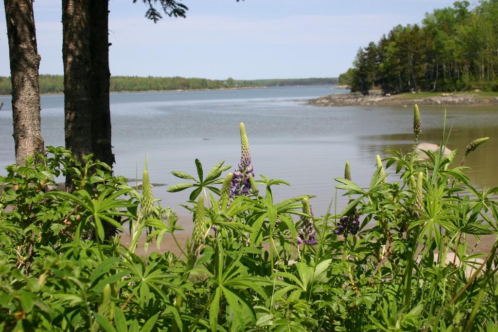 Image of Property Number 1040