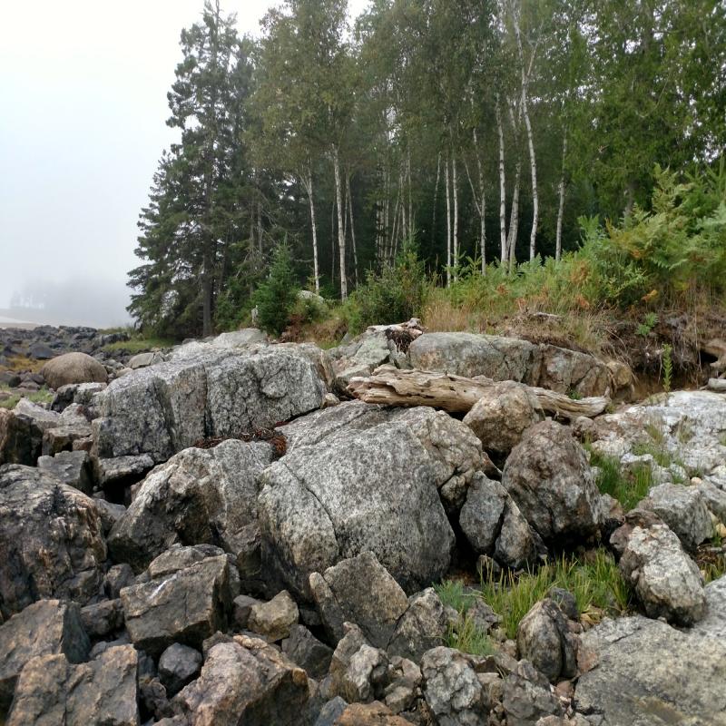 Image of Property Number 1030