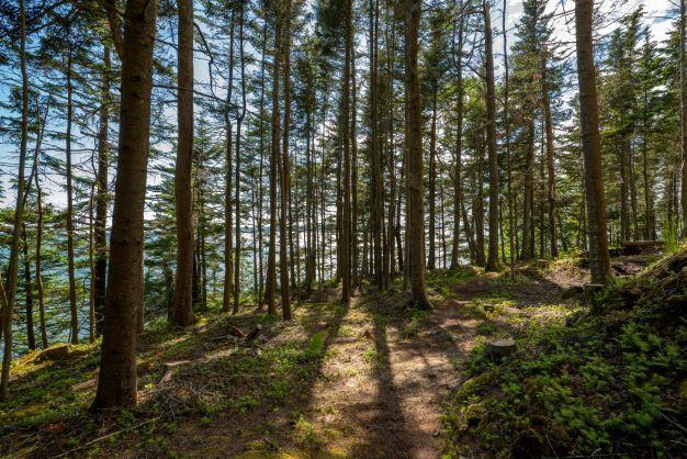 Image of Property Number 1013