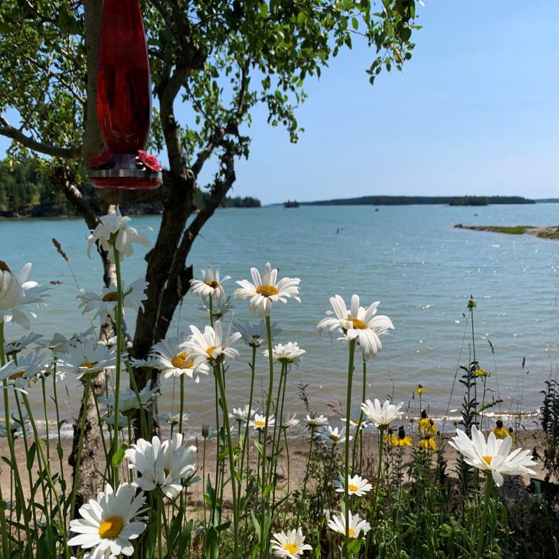 Image of Property Number 1050