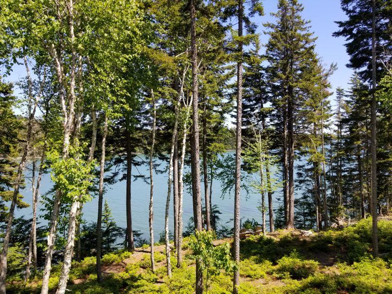 Image of Property Number 1035