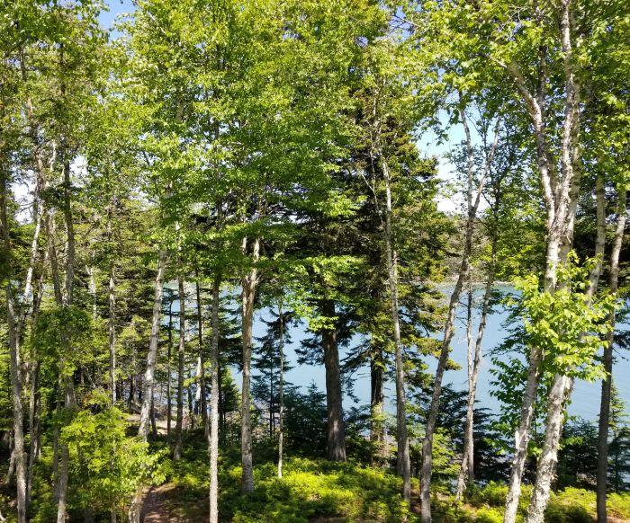 Image of Property Number 1035