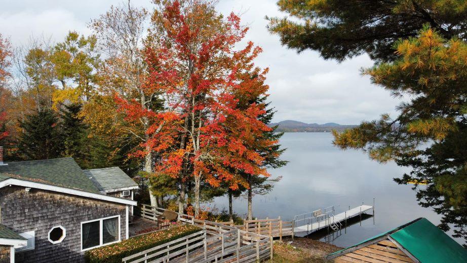 Image of Property Number 1037