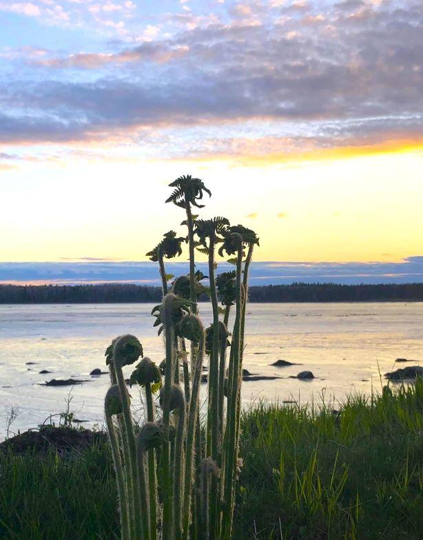 Image of Property Number 1028