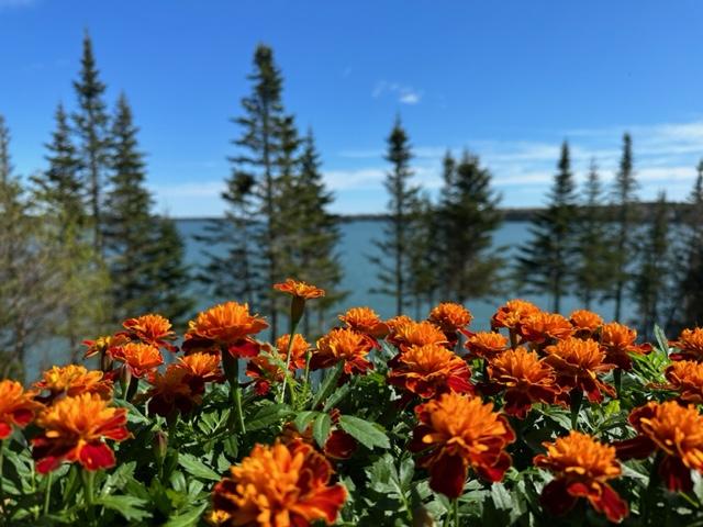 Image of Property Number 1051