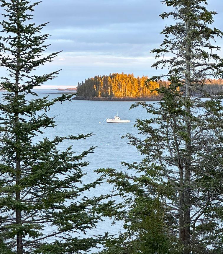 Image of Property Number 1051