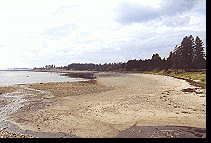 Image of Property Number 1013