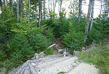 Image of Property Number 1024