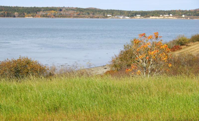 Image of Property Number 1001