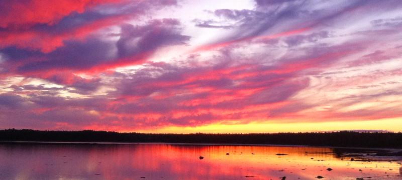 Image of Property Number 1040